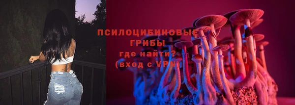 mdpv Армянск