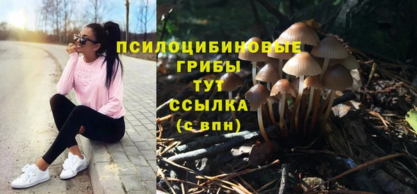 ALPHA PVP Усинск