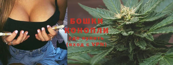 крисы Арсеньев