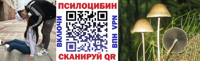 Псилоцибиновые грибы прущие грибы  MEGA сайт  сайты даркнета какой сайт  Кызыл 