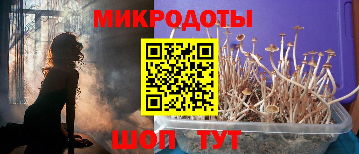Кызыл  Галлюциногенные грибы Psilocybe  купить закладку  Вход с VPN 